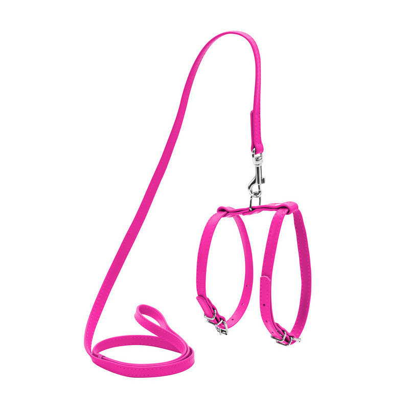 Шлея WAUDOG Glamour кожа розовый с поводком для кошек и мелких собак 34007 (4820152563422)
Шлея WAUDOG Glamour кожа розовый с поводком для кошек и мелких собак 34007 (4820152563422)