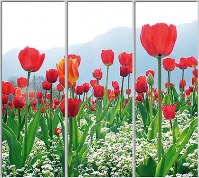 Шкаф купе Luxe Studio Стандарт-1 Фотопечать Природа-108 2100x2100x450 трехдверный
Шкаф купе Luxe Studio Стандарт-1 Фотопечать Природа-108 2100x2100x450 трехдверный