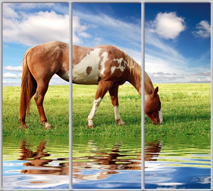 Шкаф купе Luxe Studio Стандарт-1 Фотопечать Животные-21 2100x2200x450 трехдверный
Шкаф купе Luxe Studio Стандарт-1 Фотопечать Животные-21 2100x2200x450 трехдверный