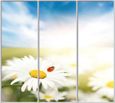 Шкаф купе Luxe Studio Стандарт-1 Фотопечать Природа-99 2100x2100x450 трехдверный
Шкаф купе Luxe Studio Стандарт-1 Фотопечать Природа-99 2100x2100x450 трехдверный