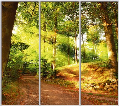 Шкаф купе Luxe Studio Стандарт-1 Фотопечать Природа-65 2300x2000x450 трехдверный
Шкаф купе Luxe Studio Стандарт-1 Фотопечать Природа-65 2300x2000x450 трехдверный