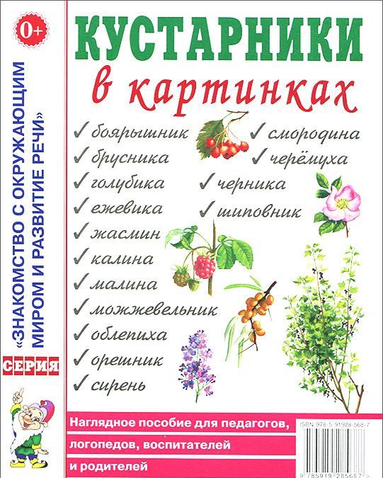 Кустарники в картинках. Наглядное пособие для педагогов, логопедов, воспитателей и родителей (717506)
Кустарники в картинках. Наглядное пособие для педагогов, логопедов, воспитателей и родителей (717506)