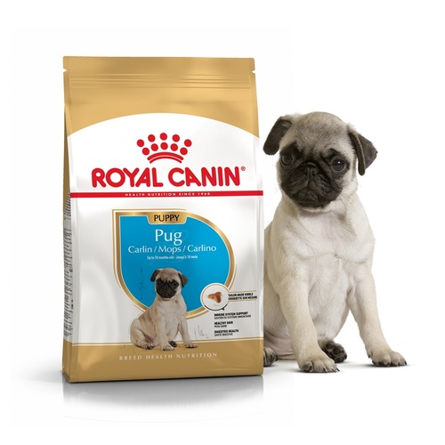 Сухой корм для собак породы мопс Royal Canin PUG PUPPY для щенков до 10 мес. (1,5 кг)
Сухой корм для собак породы мопс Royal Canin PUG PUPPY для щенков до 10 мес. (1,5 кг)