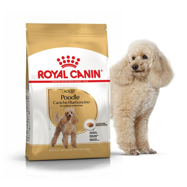 Сухой корм для собак породы пудель Royal Canin POODLE ADULT для взрослых собак от 10 мес. (1,5 кг)
Сухой корм для собак породы пудель Royal Canin POODLE ADULT для взрослых собак от 10 мес. (1,5 кг)