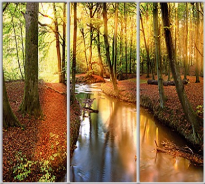 Шкаф купе Luxe Studio Стандарт-1 Фотопечать Природа-103 2300x2000x600 трехдверный 
Шкаф купе Luxe Studio Стандарт-1 Фотопечать Природа-103 2300x2000x600 трехдверный