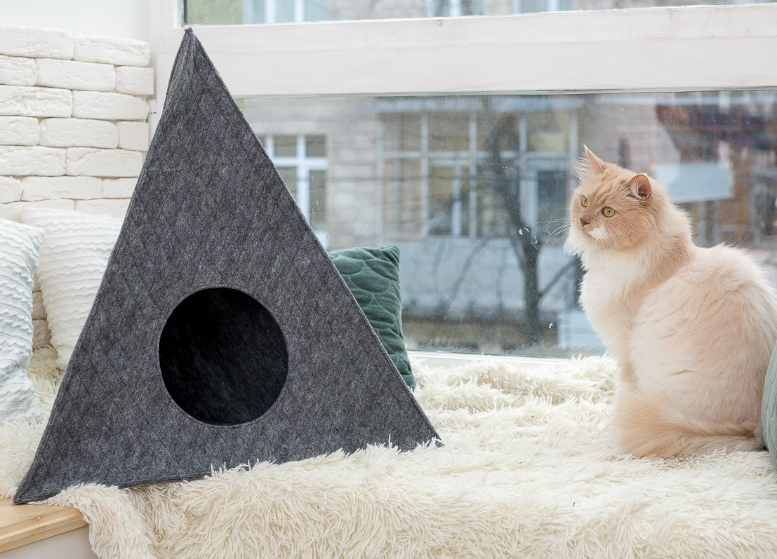 Домик для животных "Пирамида с подушкой" Digitalwool 56х60х66 см (zoo0000378) Серый
Домик для животных "Пирамида с подушкой" Digitalwool 56х60х66 см (zoo0000378) Серый