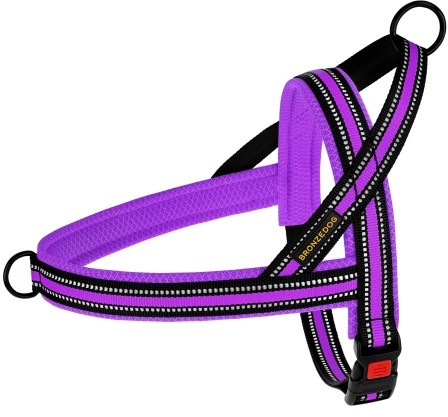 Шлея для Собак BronzeDog Mesh Скандинавская Фиолетовая, XL 54 cм/68-82 см (81407)
Шлея для Собак BronzeDog Mesh Скандинавская Фиолетовая, XL 54 cм/68-82 см (81407)