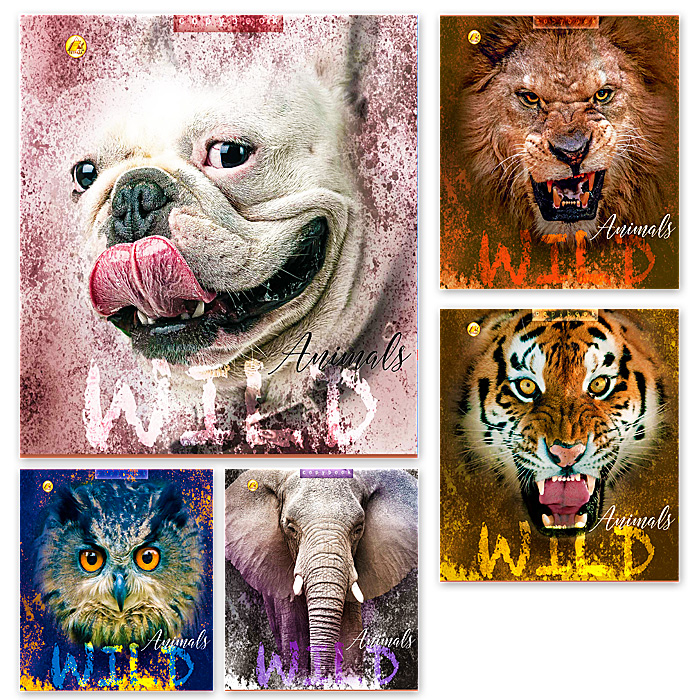 Набор тетрадей школьных 10 шт Тетрада 96 листов клетка А5 Хищная 5 дизайнов (01782)
Набор тетрадей школьных 10 шт Тетрада 96 листов клетка А5 Хищная 5 дизайнов (01782)