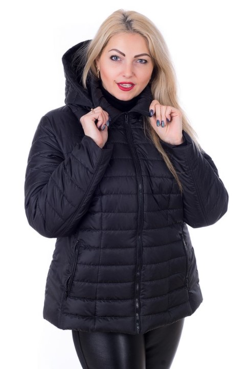 Куртка женская демисезонная больших размеров MODA 0061 () Черный (0061/2 A, Куртка женская демисезонная больших размеров MODA 0061 4XL (56) Черный (0061/2 A)
Куртка женская демисезонная больших размеров MODA 0061 () Черный (0061/2 A, Куртка женская демисезонная больших размеров MODA 0061 4XL (56) Черный (0061/2 A)