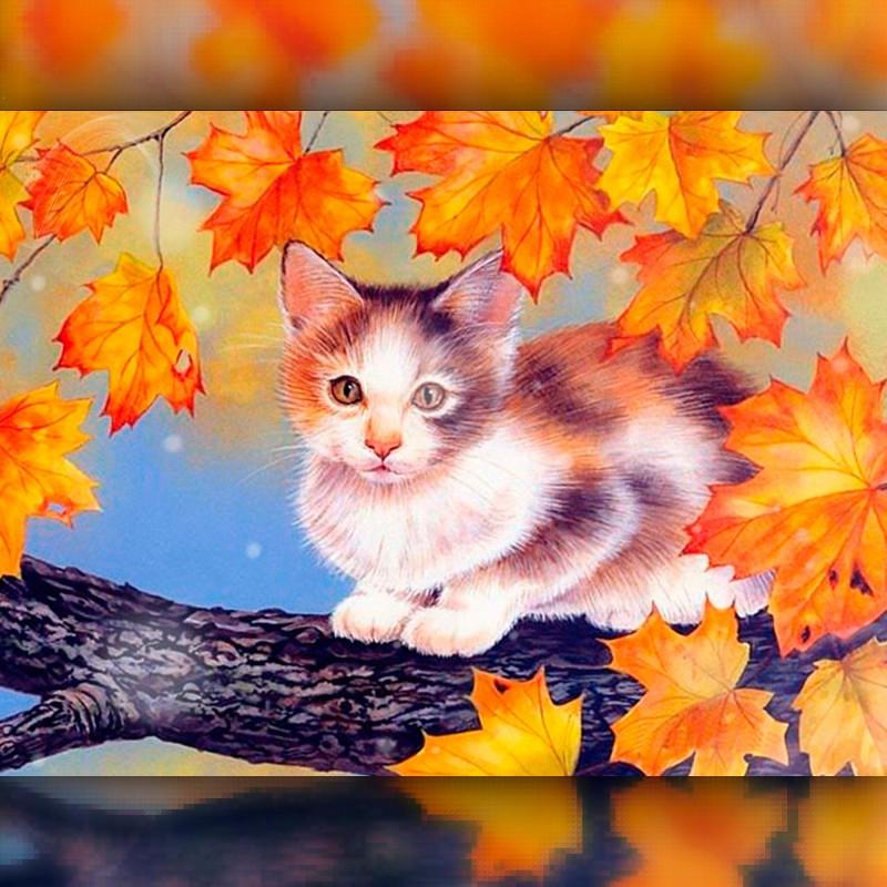 Алмазная вышивка мозаика The Wortex Diamonds Котик на дереве 30x40см TWD20025 полная зашивка квадратные стразы. Набор алмазной вышивки
Алмазная вышивка мозаика The Wortex Diamonds Котик на дереве 30x40см TWD20025 полная зашивка квадратные стразы. Набор алмазной вышивки