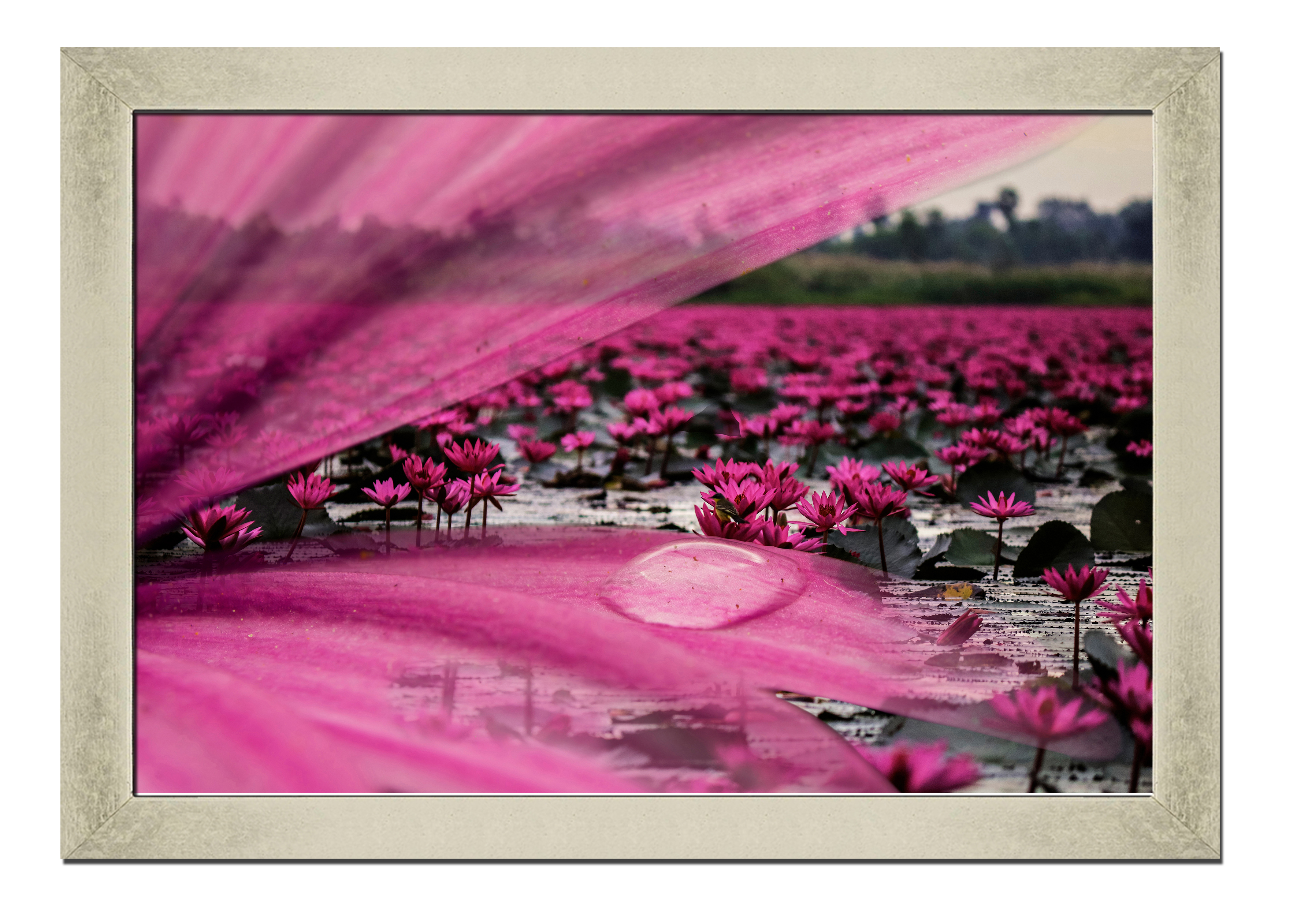 Silver frame картина на файн-арт бумаге Водные цветы цветы, растения Hotel Arizona HD 31 см x 41 см
Silver frame картина на файн-арт бумаге Водные цветы цветы, растения Hotel Arizona HD 31 см x 41 см