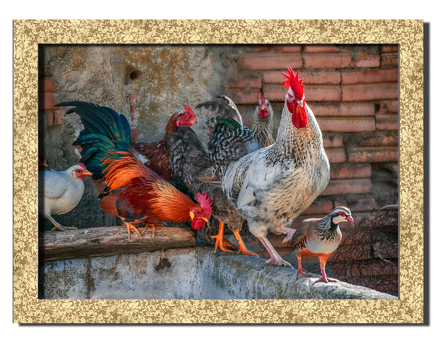 Golden frame картина на файн-арт бумаге курятник сельская жизнь Hotel Arizona HD 31 см x 41 см
Golden frame картина на файн-арт бумаге курятник сельская жизнь Hotel Arizona HD 31 см x 41 см