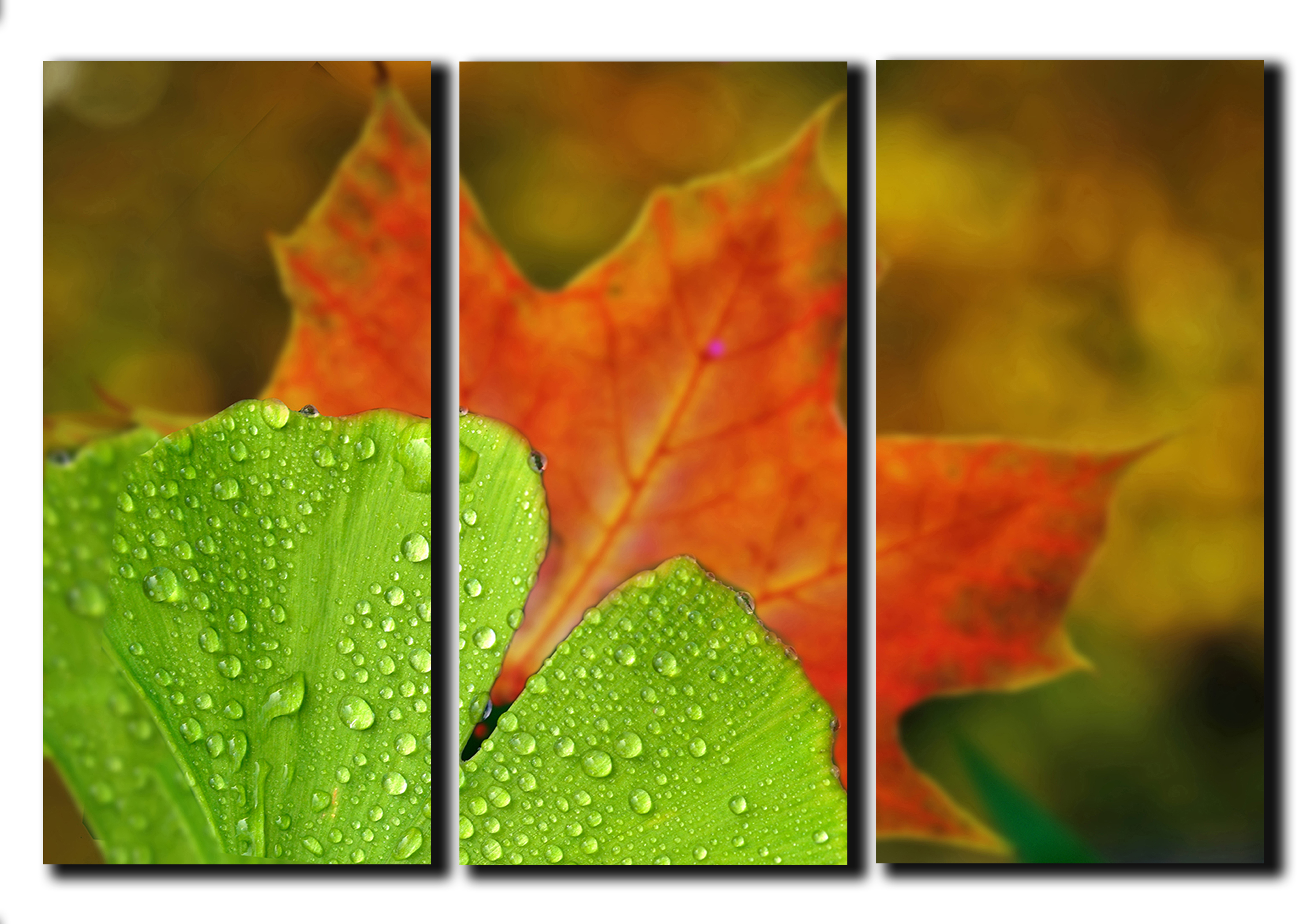 Модульная картина на холсте из 3 частей Осенний лист природа пейзаж ландшафт Hotel Arizona HD 56 см x 84 см
Модульная картина на холсте из 3 частей Осенний лист природа пейзаж ландшафт Hotel Arizona HD 56 см x 84 см