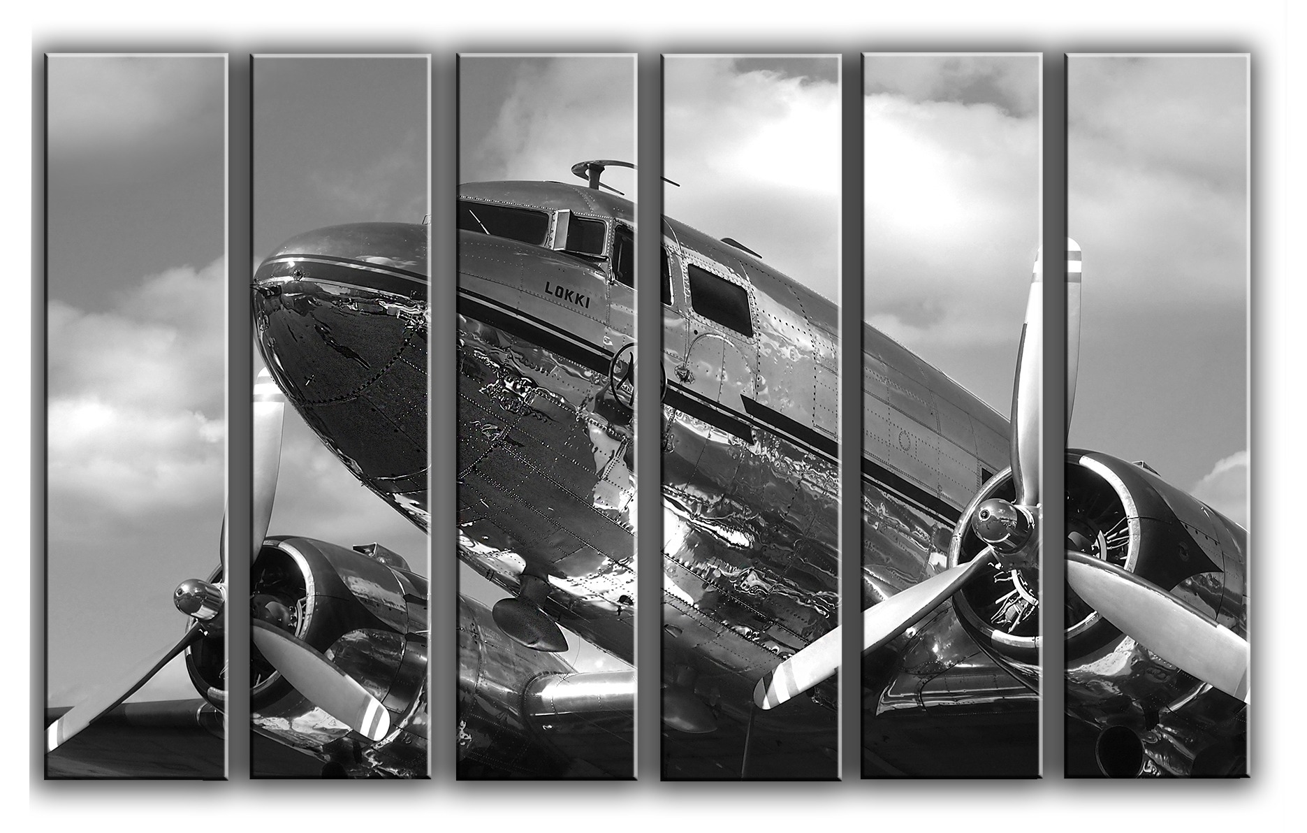 Модульная картина на холсте из 6 частей винтажный самолет DC-3 пропеллер авиадвигатели Hotel Arizona HD 112 см x 171 см
Модульная картина на холсте из 6 частей винтажный самолет DC-3 пропеллер авиадвигатели Hotel Arizona HD 112 см x 171 см