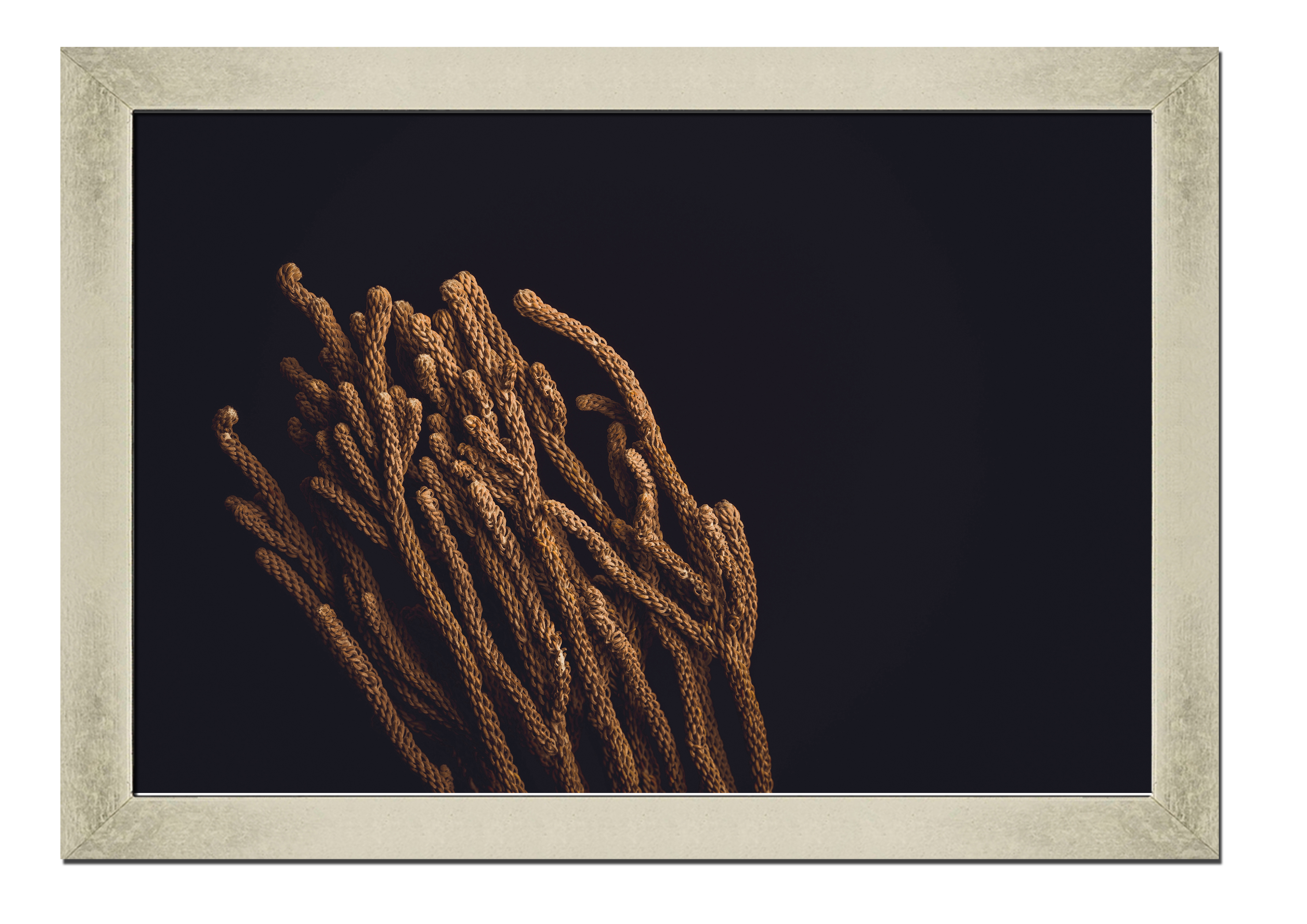 Silver frame картина на файн-арт бумаге Растение Гербарий растения, цветы Hotel Arizona HD 31 см x 41 см
Silver frame картина на файн-арт бумаге Растение Гербарий растения, цветы Hotel Arizona HD 31 см x 41 см