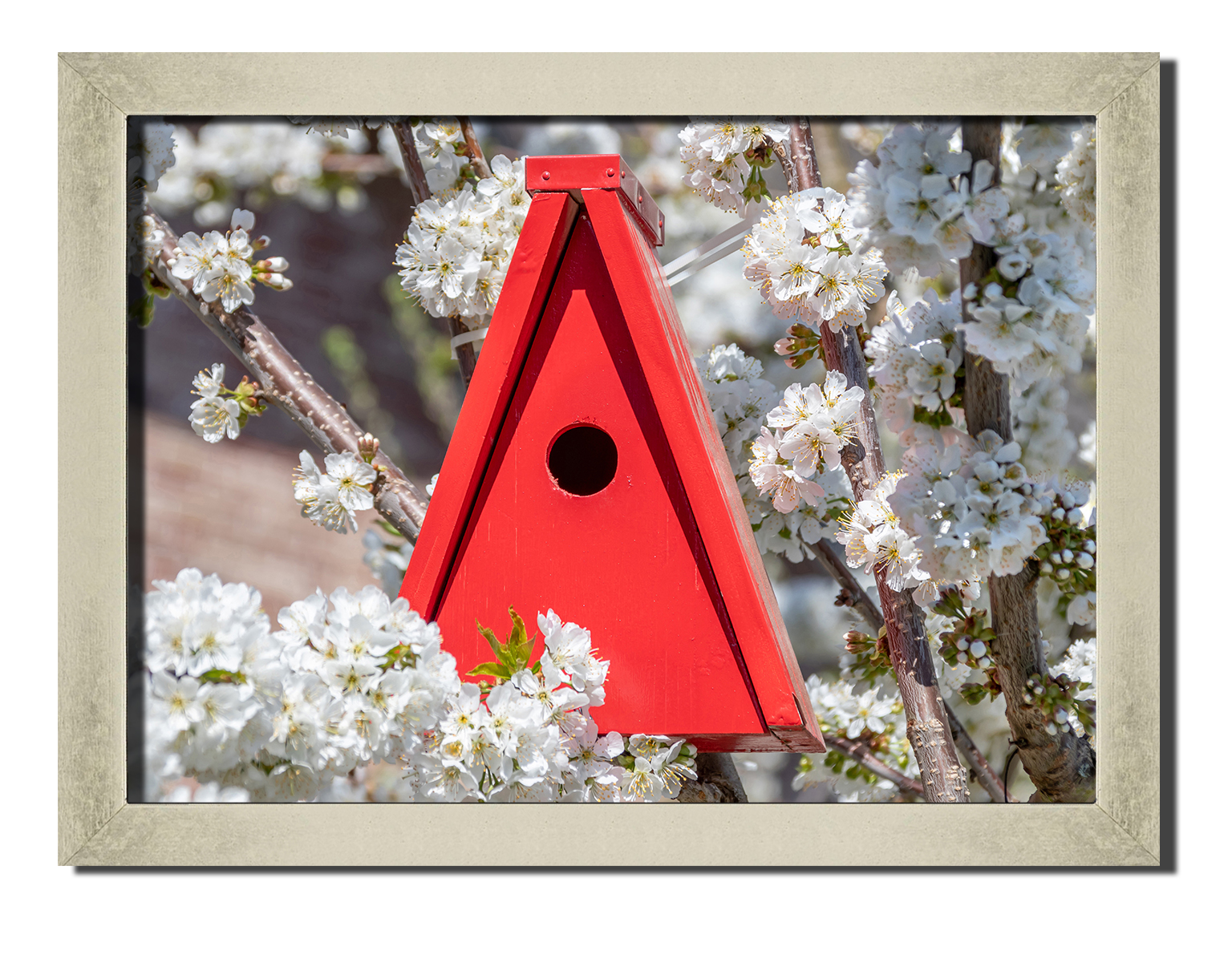 Silver frame картина на файн-арт бумаге Новый птичий дом животный мир, птицы Hotel Arizona HD 31 см x 41 см
Silver frame картина на файн-арт бумаге Новый птичий дом животный мир, птицы Hotel Arizona HD 31 см x 41 см