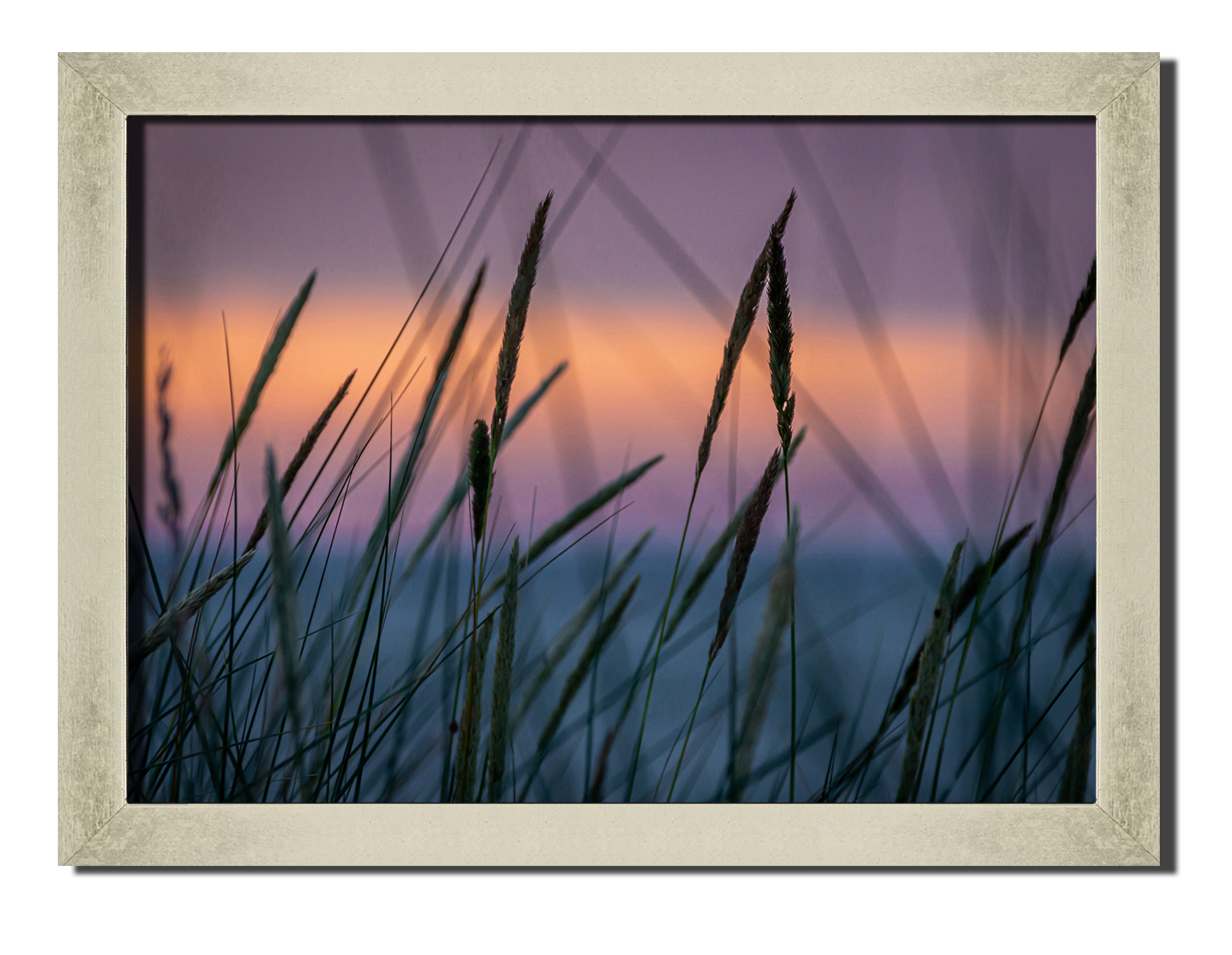 Silver frame картина на файн-арт бумаге Растения на закате природа пейзаж ландшафт Hotel Arizona HD 31 см x 41 см
Silver frame картина на файн-арт бумаге Растения на закате природа пейзаж ландшафт Hotel Arizona HD 31 см x 41 см