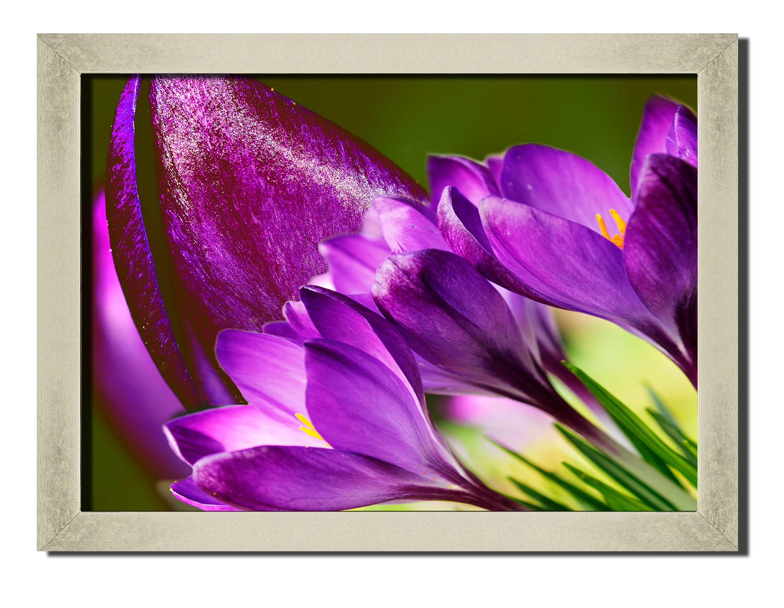 Silver frame картина на файн-арт бумаге Дикий Крокус природа пейзаж ландшафт Hotel Arizona HD 31 см x 41 см
Silver frame картина на файн-арт бумаге Дикий Крокус природа пейзаж ландшафт Hotel Arizona HD 31 см x 41 см