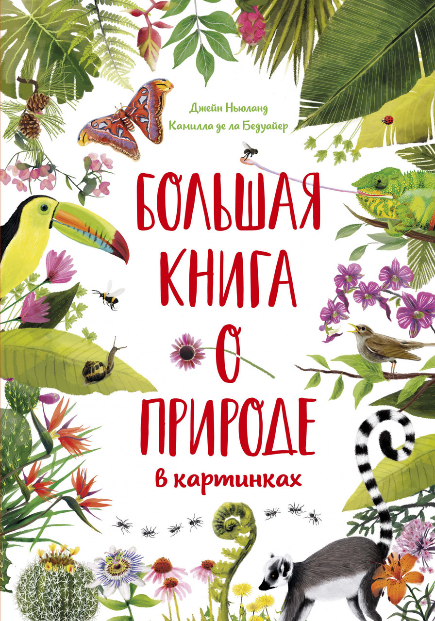 Книга Большая книга о природе в картинках. Автор - Камилла де ла Бедуайер (Махаон)
Книга Большая книга о природе в картинках. Автор - Камилла де ла Бедуайер (Махаон)