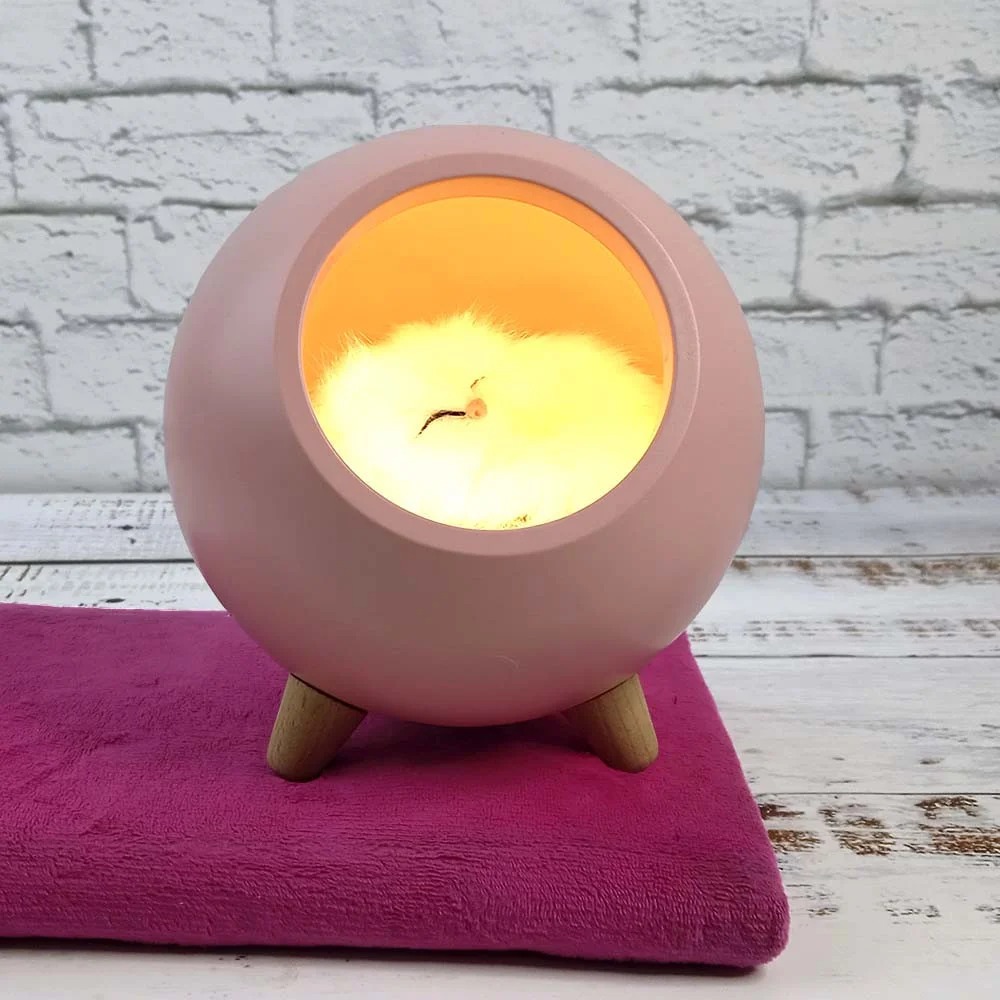 Ночник для детей LED-светильник кошкин домик Cat House с мягкой игрушкой спящий котик и сенсорной кнопкой 13х15 см Розовый (Night light-4)
Ночник для детей LED-светильник кошкин домик Cat House с мягкой игрушкой спящий котик и сенсорной кнопкой 13х15 см Розовый (Night light-4)