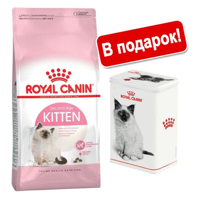 Сухой корм Royal Canin (Роял Канин) Kitten для котят от 4 месяцев, 2 кг + контейнер
Сухой корм Royal Canin (Роял Канин) Kitten для котят от 4 месяцев, 2 кг + контейнер