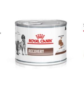 Ветеринарный влажный корм для собак Royal Canin Recovery 12 шт(упаковка) (40550021up)
Ветеринарный влажный корм для собак Royal Canin Recovery 12 шт(упаковка) (40550021up)