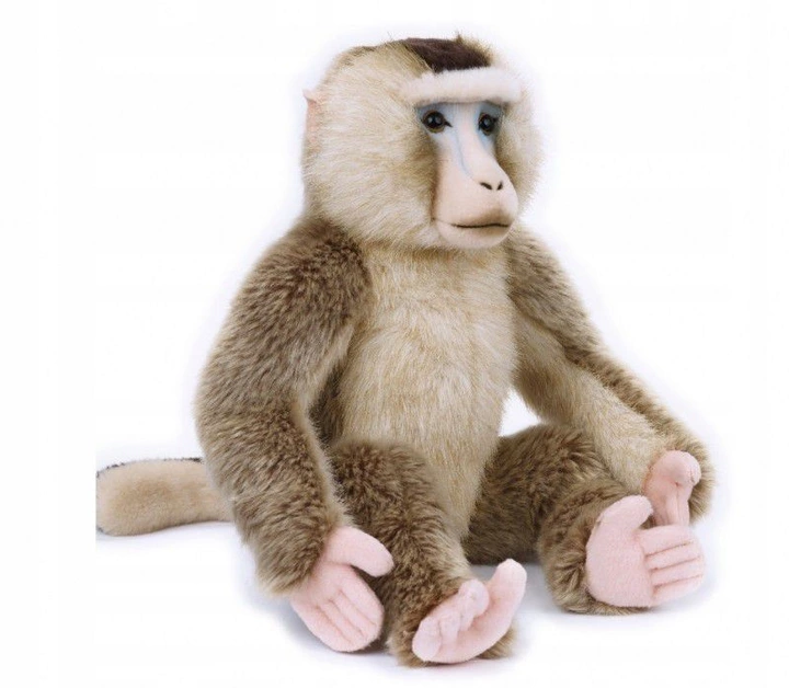 Макака плюшевая мягкая игрушка National Geographic 25 см Лимитированная серия (GXP-647674)
Макака плюшевая мягкая игрушка National Geographic 25 см Лимитированная серия (GXP-647674)