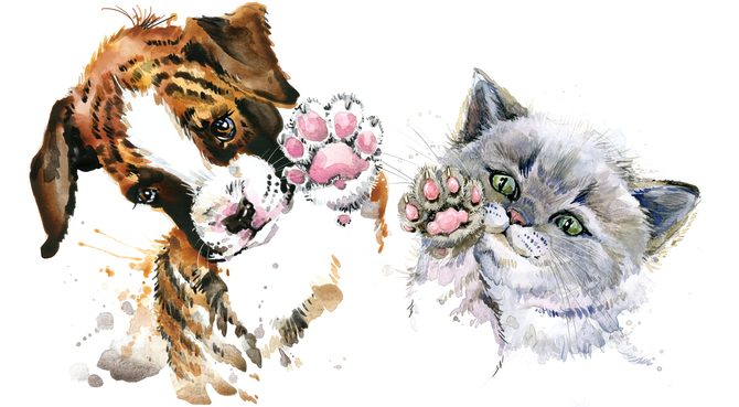 Фотообои Детские 'Кошка с собакой' (1364) , Фреска 
Фотообои Детские 'Кошка с собакой' (1364) , Фреска