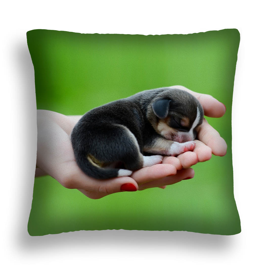 Подушка Wenecja с принтом Щенок на ладонях 40 х 40 см (PS10)
Подушка Wenecja с принтом Щенок на ладонях 40 х 40 см (PS10)