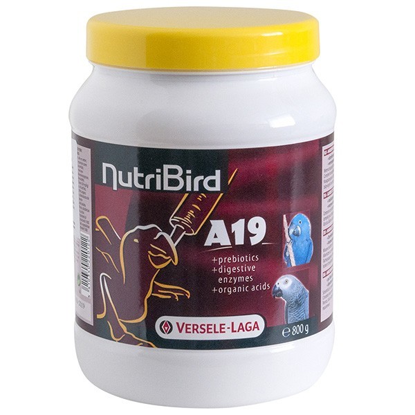 Корм Versele-Laga NutriBird A19 молоко для птенцов больших попугаев 0.8 кг (5410340220122)
Корм Versele-Laga NutriBird A19 молоко для птенцов больших попугаев 0.8 кг (5410340220122)