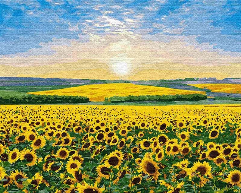 Картина для рисования по номерам Идейка Подсолнечный рай 40x50 см (в коробке) (КН2282)
Картина для рисования по номерам Идейка Подсолнечный рай 40x50 см (в коробке) (КН2282)