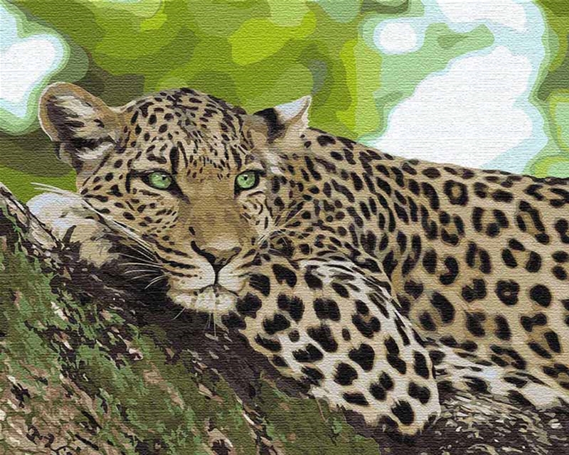 Картина для рисования по номерам Идейка Отдых хищника 40x50 см (в коробке) (КН4175)
Картина для рисования по номерам Идейка Отдых хищника 40x50 см (в коробке) (КН4175)