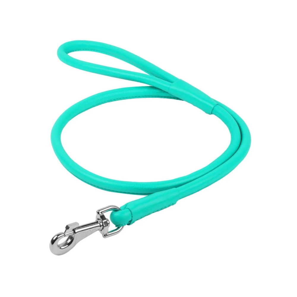 Поводок круглый кожаный для собак Collar Waudog Glamour 10 мм/122 см, ментоловый
Поводок круглый кожаный для собак Collar Waudog Glamour 10 мм/122 см, ментоловый
