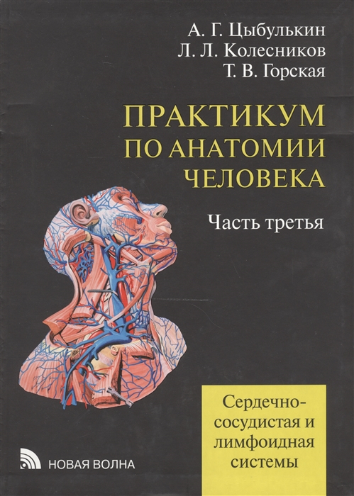 Практикум по анатомии человека. В 4-х частях. Часть 3. Сердечно-сосудистая и лимфоидная системы
Практикум по анатомии человека. В 4-х частях. Часть 3. Сердечно-сосудистая и лимфоидная системы