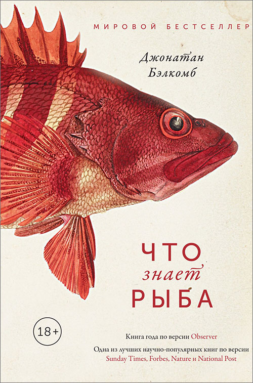 Что знает рыба. Внутренний мир наших подводных собратьев - Джонатан Бэлкомб (978-5-389-14366-1)
Что знает рыба. Внутренний мир наших подводных собратьев - Джонатан Бэлкомб (978-5-389-14366-1)