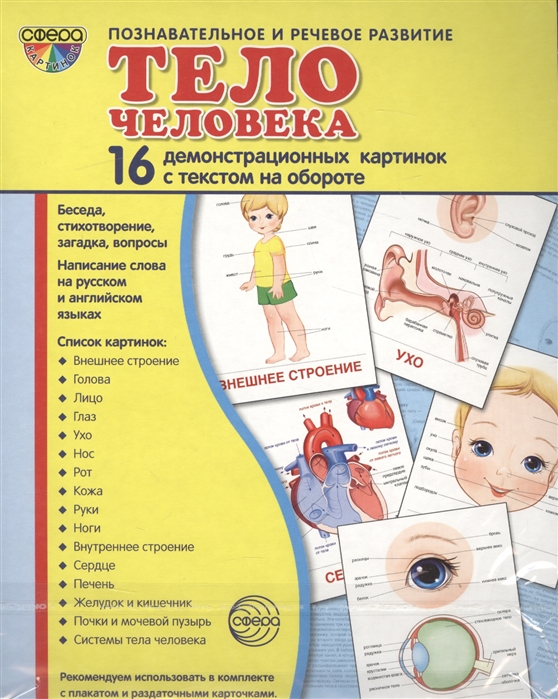Демонстрационные картинки супер. Тело человека. 16 демонстрационных картинок с текстом
Демонстрационные картинки супер. Тело человека. 16 демонстрационных картинок с текстом