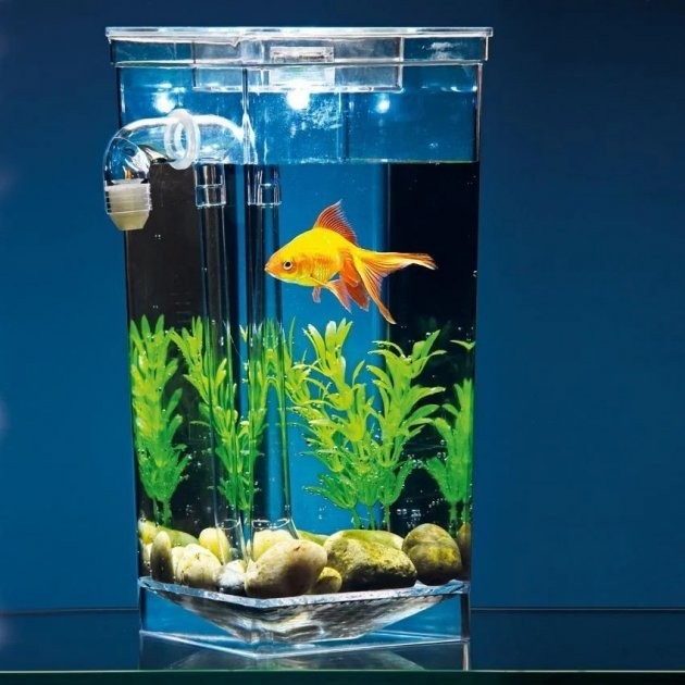 Маленький самоочищающийся аквариум My Fun Fish нано аквариум для рыб | аквариумный набор
Маленький самоочищающийся аквариум My Fun Fish нано аквариум для рыб | аквариумный набор