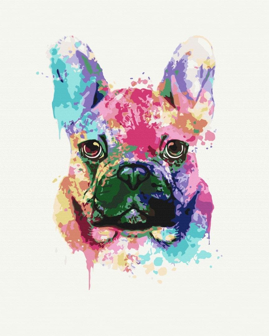 Картина по номерам "Красочный бульдог" BrushMe холст на подрамнике 40x50см BS51398
Картина по номерам "Красочный бульдог" BrushMe холст на подрамнике 40x50см BS51398