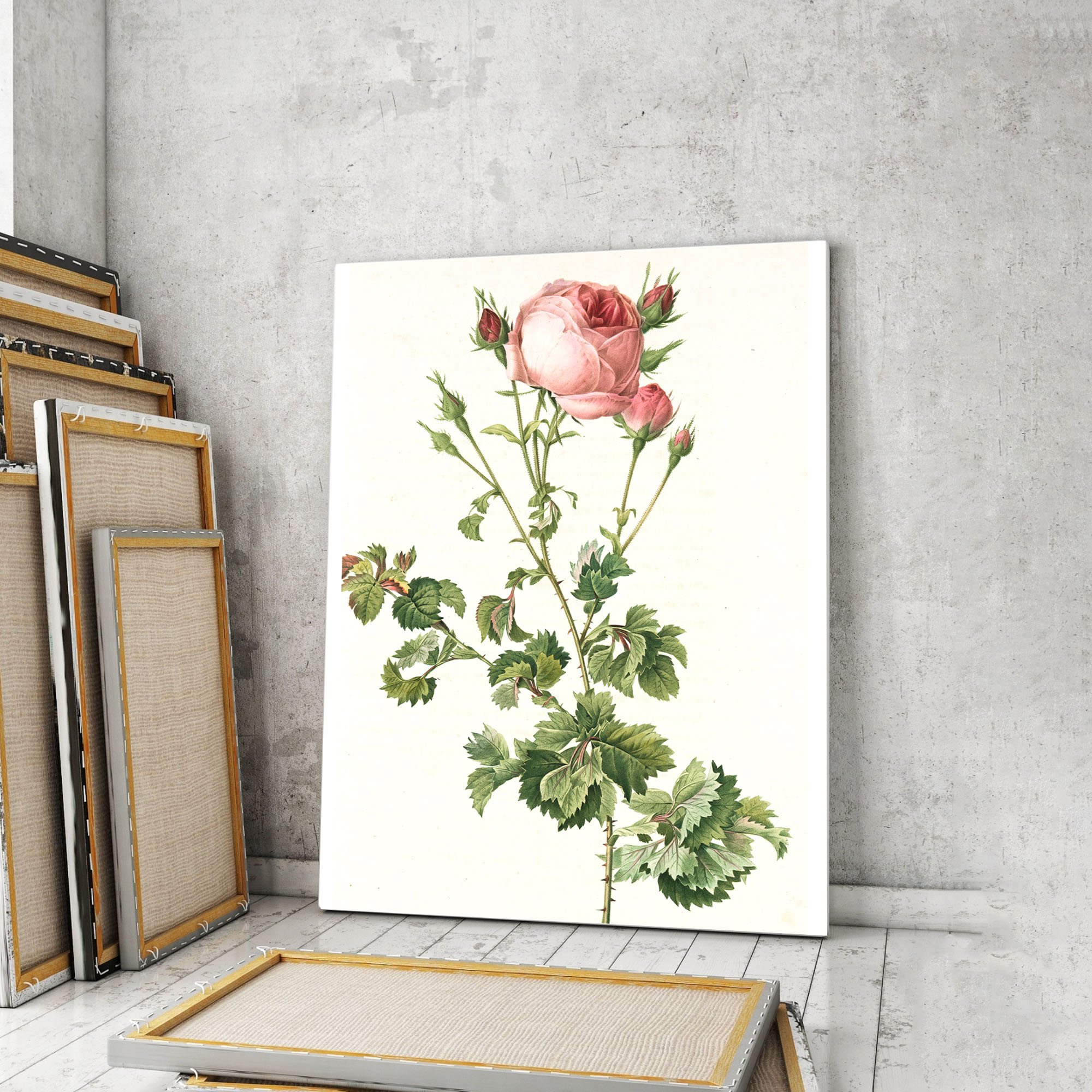 Модульная картина Artel «Винтажный акварельный рисунок роза бифера лекарственная» 90x60 см
Модульная картина Artel «Винтажный акварельный рисунок роза бифера лекарственная» 90x60 см