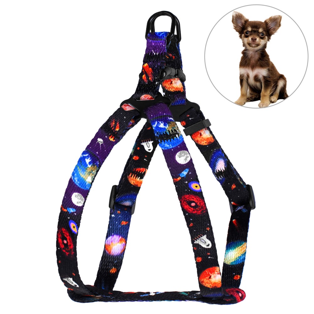 Шлея для Собак Мелких Пород и Котов BronzeDog Urban Cosmos Чёрная 28-40 см (69/1211)
Шлея для Собак Мелких Пород и Котов BronzeDog Urban Cosmos Чёрная 28-40 см (69/1211)