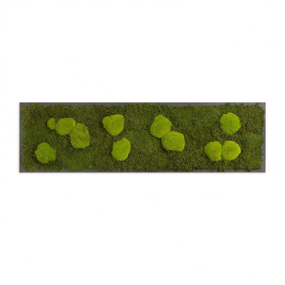 Картина SmartBotanica из стабилизированного мха 140*40 см в черной деревянной рамке
Картина SmartBotanica из стабилизированного мха 140*40 см в черной деревянной рамке