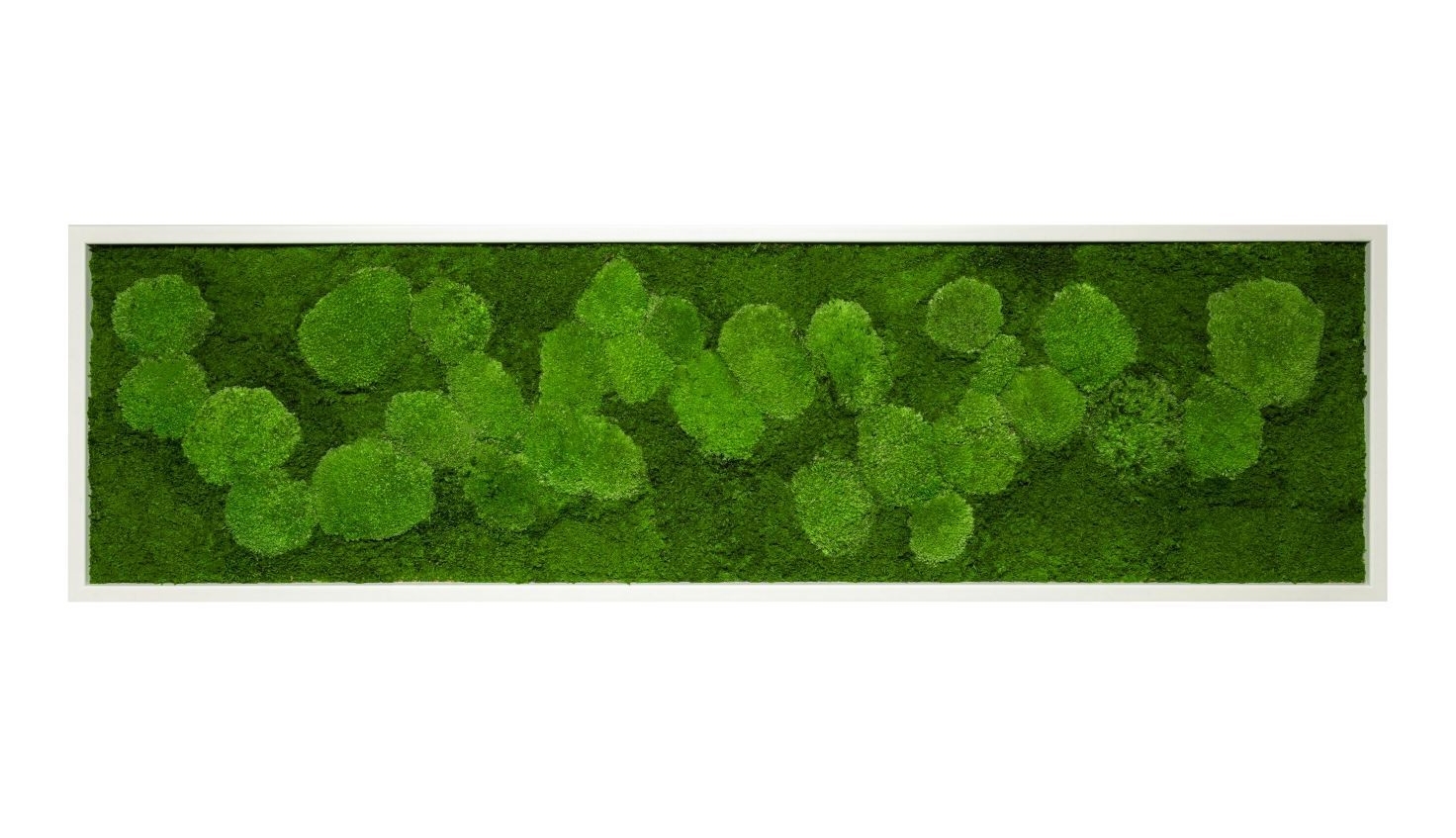 Картина SmartBotanica из стабилизированного мха 40*120 см в белой деревянной рамке
Картина SmartBotanica из стабилизированного мха 40*120 см в белой деревянной рамке