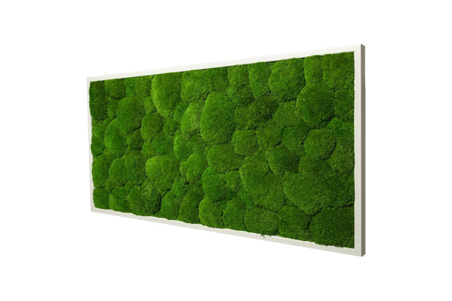 Картина SmartBotanica из стабилизированного Кочкового мха 60*30 см в черной деревянной рамке
Картина SmartBotanica из стабилизированного Кочкового мха 60*30 см в черной деревянной рамке
