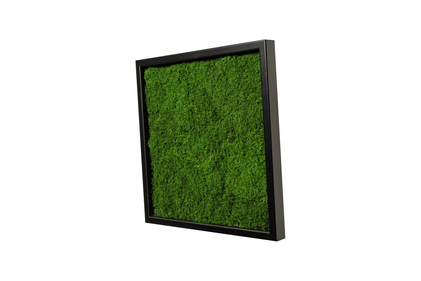 Картина SmartBotanica из стабилизированного Плоского мха 40*40 см в черной деревянной рамке
Картина SmartBotanica из стабилизированного Плоского мха 40*40 см в черной деревянной рамке