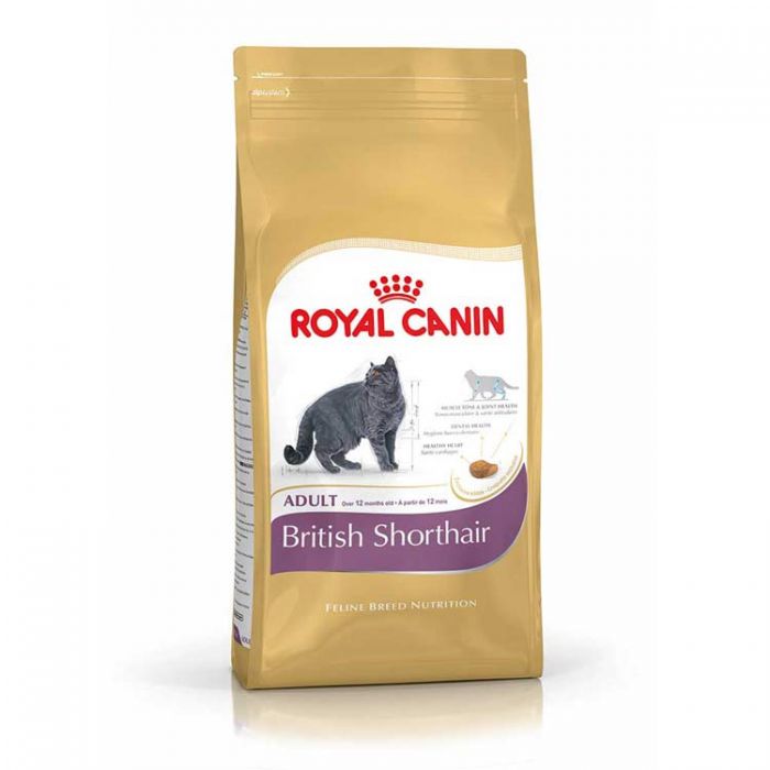 Royal Canin (Роял Канин) British Shorthair (2 кг) корм для кошек породы британская короткошерстная
Royal Canin (Роял Канин) British Shorthair (2 кг) корм для кошек породы британская короткошерстная