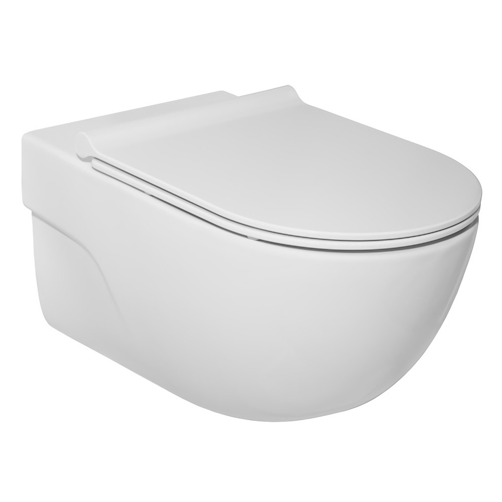 Унитаз Roca MERIDIAN Rimless подвесной с сиденьем Slim с системой плавного опускания A34H240000
Унитаз Roca MERIDIAN Rimless подвесной с сиденьем Slim с системой плавного опускания A34H240000