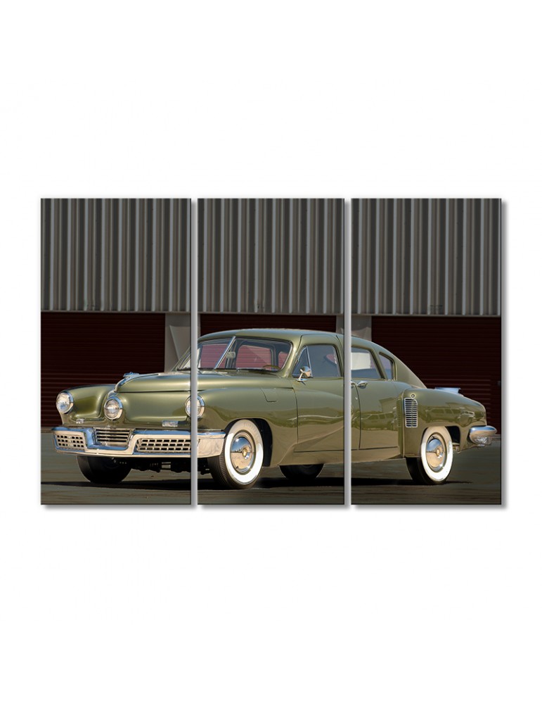 Модульная картина Artel «1948 Такер Седан 01 зеленый перед авто» 3 модуля 70x105 см
Модульная картина Artel «1948 Такер Седан 01 зеленый перед авто» 3 модуля 70x105 см