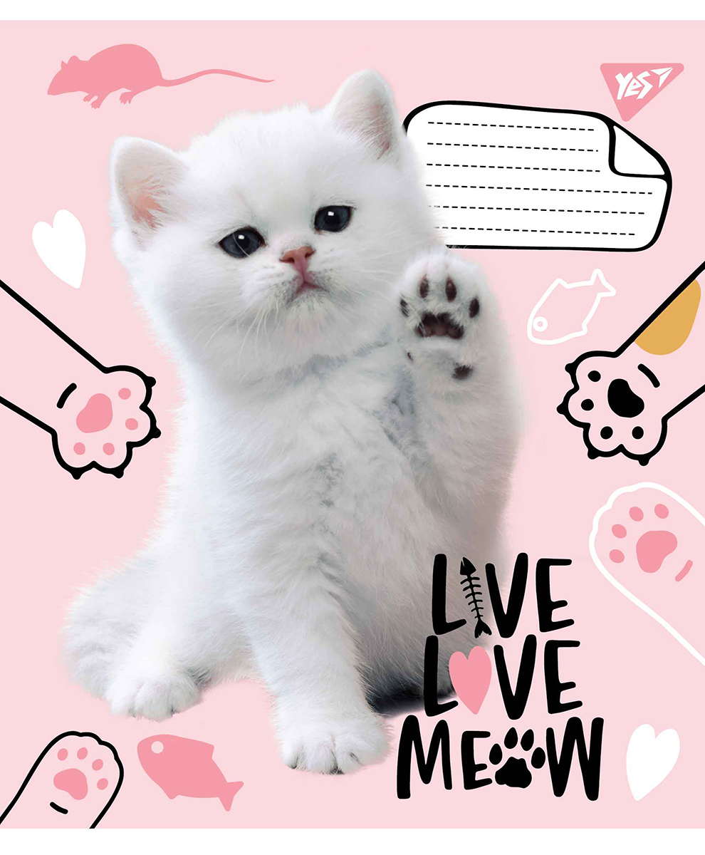 Набор тетрадей ученических YES Live love meow А5 18 листов в линейку 25 шт (765523)
Набор тетрадей ученических YES Live love meow А5 18 листов в линейку 25 шт (765523)