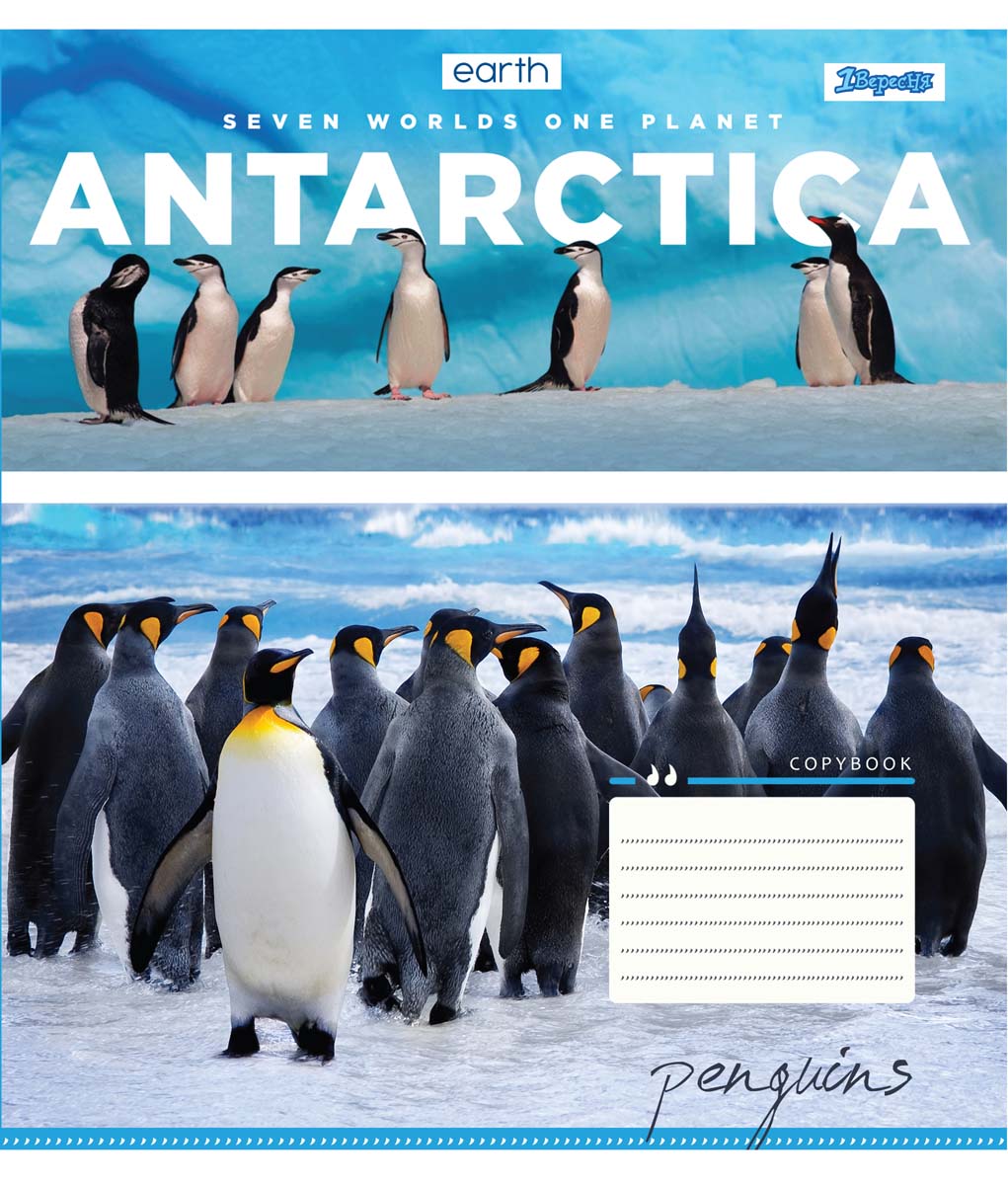 Набор тетрадей ученических 1 Вересня Earth animal А5 24 листа в линейку 20 шт (764914)
Набор тетрадей ученических 1 Вересня Earth animal А5 24 листа в линейку 20 шт (764914)
