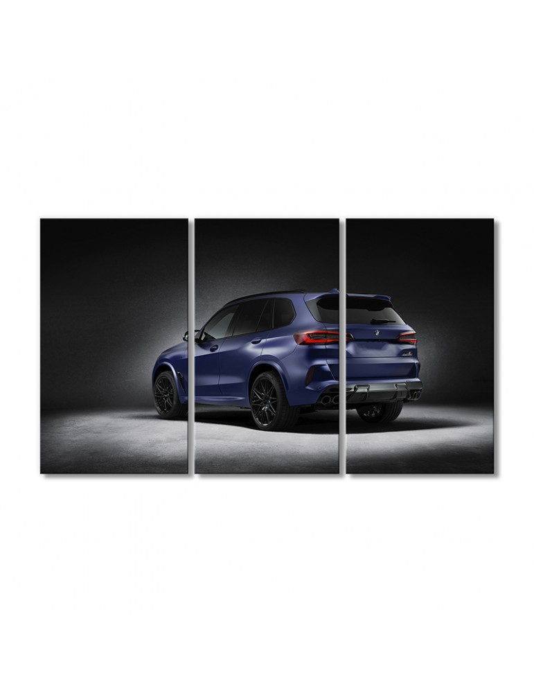 Модульная картина Artel «Автомобиль БМВ X5m первого выпуска» 3 модуля 60x90 см
Модульная картина Artel «Автомобиль БМВ X5m первого выпуска» 3 модуля 60x90 см